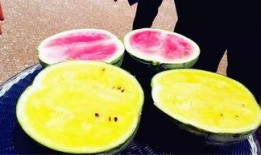 2025最新吃瓜爆料,最新吃瓜爆料大盘点