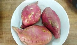 免费吃瓜地瓜,畅享田园美味新体验